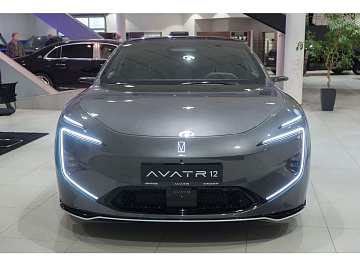 AVATR 12 Фастбек Dynamic Pro Серый. Фото 2